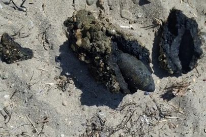 Çanakkale’de plajda savaştan kalma olduğu değerlendirilen askeri mühimmat bulundu
