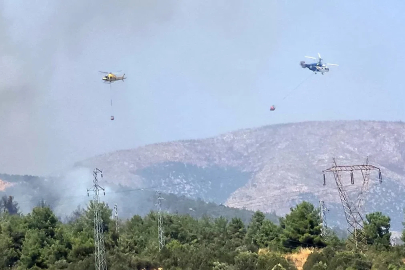 Bilecik’te ormanlık alanda yangın başladı
