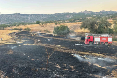 Bilecik’te biçilmiş buğday tarlasında yangın çıktı
