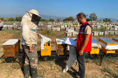 Nazilli’de arılı kovan tespit çalışmaları sürüyor

