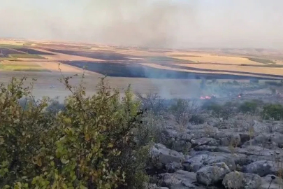 Besni’de ormanlık alanda çıkan yangın korkuttu
