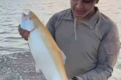 Keban Baraj Gölü’nde  sarı renkli albino alabalık yakalandı
