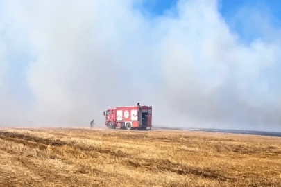 Tekirdağ’da anız yangını

