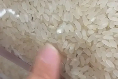 Elazığ’da paketli bir pirinç içerisinde böcekler görüntülendi
