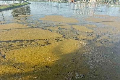 Iğdır Millet Bahçesi’ndeki süs havuzunda kirlilik tepki çekiyor
