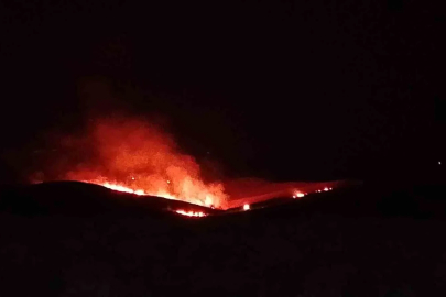 Diyarbakır’da anız ve örtü yangını
