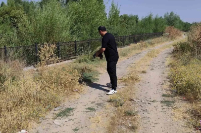 Yoldaki kaplumbağayı duyarlı vatandaş kurtardı

