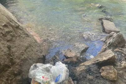 Piknik alanına bırakılan çöpler vatandaşın tepkisine yol açtı
