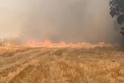 Eskipazar’da anız yangını korkuttu
