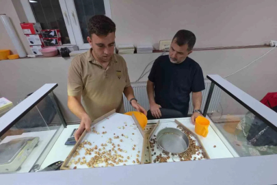 Fındık alımı başladı, araçlar kapı önünde kuyruk oldu
