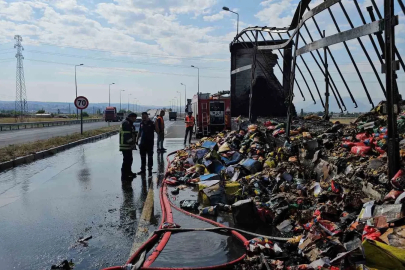Tırın dorsesinde çıkan yangını itfaiye söndürdü
