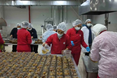 Kadın Emeği Tarımsal Ürün Fabrikası’yla yerel üretim dünyaya açılıyor
