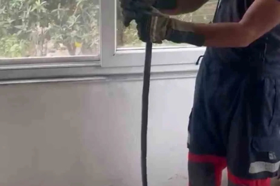 Eve giren yılan pencere arasına sıkıştı
