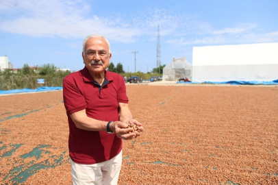 Başkan Güler: "Fındığa hem bilimsel hem teknik yaklaşıyoruz"
