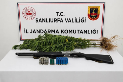 Şanlıurfa’da uyuşturucu madde ele geçirildi: 1 gözaltı

