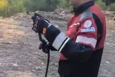 Hatay’da  yerleşim yerlerinde görülen yılanlar doğal yaşam alanına bırakıldı
