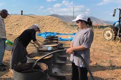 Üniversite öğrencileri yaz tatilinde tarlada ailelerine destek oluyor
