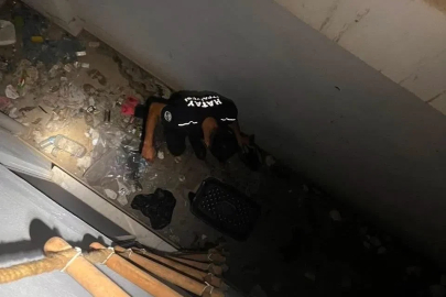 Hatay’da mahsur kalan hayvanlar kurtarıldı

