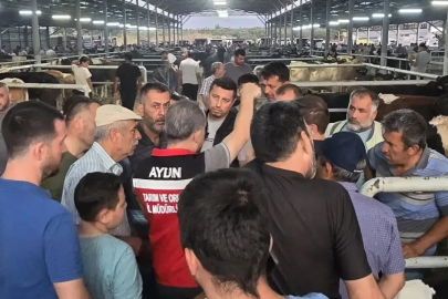 Aydın’da hayvan pazarlarında sıkı denetim
