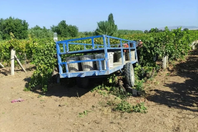 Manisa’da üzüm bağında feci kaza
