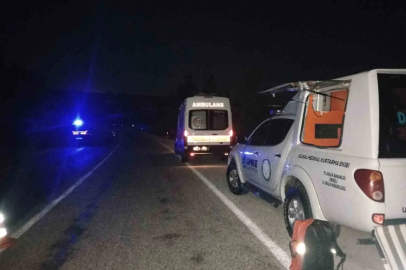 Yabani hayvana çarpan hafif ticari araç şarampole uçtu
