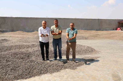 Kahramanmaraş’ta ay çekirdeği hasadı

