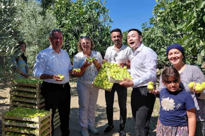 Çinli fenomen çift Aydın incirine hayran kaldı
