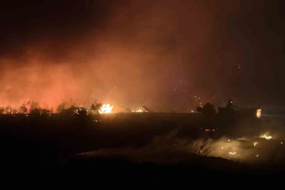 Antalya’da otluk yangını 30 dönümlük alanda etkili oldu
