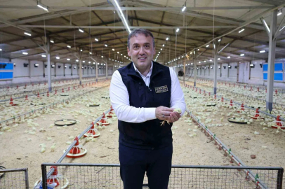 Bilecik 11,5 milyon kanatlı hayvana ev sahipliği yapıyor
