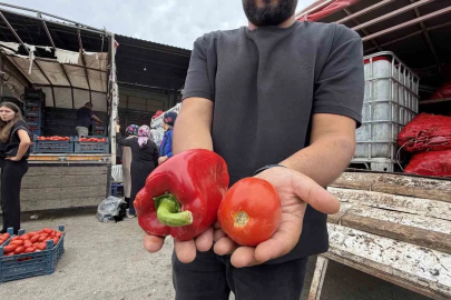 Osmaniyeli kadınların salça ve konserve mesaisi başladı
