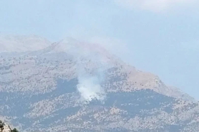 Baykan’da Kalems Dağı’nda yangın
