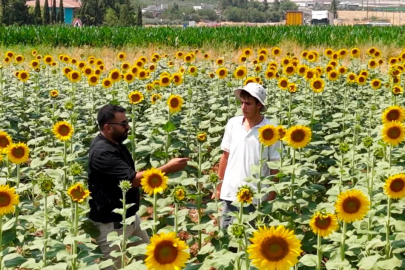 GAP suyuyla birlikte Şanlıurfa’da ürün çeşitliliği zirveye çıktı
