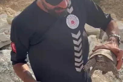 Yangın bölgesinde canlıların tahliyesi için seferber oldular
