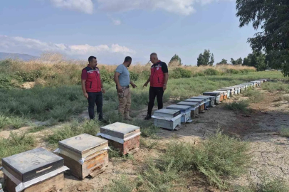 Antakya’da arıcılar bal sağımını sürdürüyor
