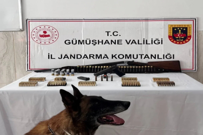 Gümüşhane’de ruhsatsız silah ve çok sayıda mühimmat ele geçirildi
