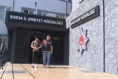 250 saatlik kamera kaydı izlediler, inşaat farelerini böyle çözdüler
