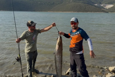 Turna avına çıkan balıkçıların oltasına 127 santimlik dev yayın takıldı
