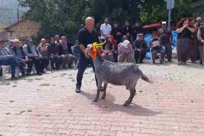 Mut’ta ’keçi güzellik yarışması’ düzenlendi

