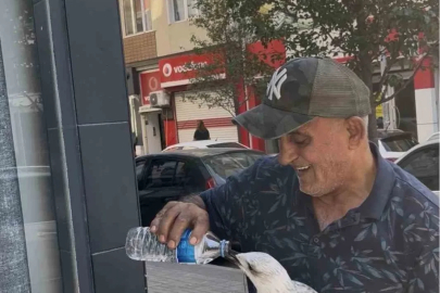 Tekirdağ’da bitkin düşen martı kolunu ısırdı şefkatini eksik etmedi
