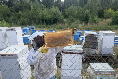 Hobi olarak 3 kovanla başladı, şimdi 250 arı kovanı var
