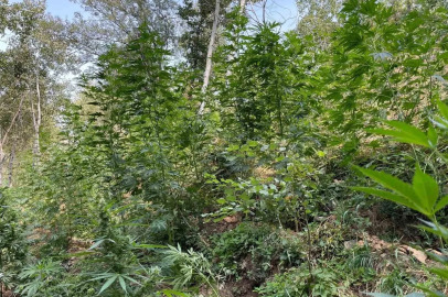 Bingöl’de jandarmadan huzur ve güvenlik çalışmaları
