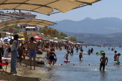 Deniz sezonunun bitmesine yakın Bursa’nın sahillerinden sevindiren haber
