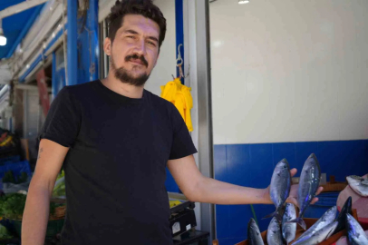 Bu sene vatandaşlar palamuda doyacak
