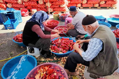 Niğde’de kışlık salça mesaisi başladı
