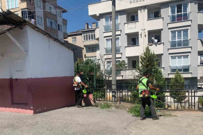 Çayırova’da okullar yeni eğitim yılına hazırlanıyor

