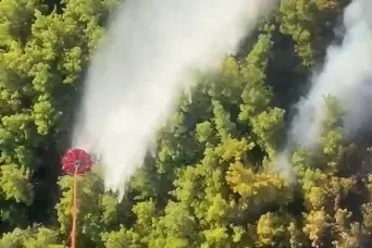 Manavgat’ta orman yangını
