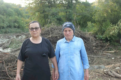 Türkeli’deki dere taşkınında iki kişi ölümden döndü: "Öleceğiz sandık"
