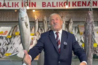 Yasak kalktı balık tezgahları doldu
