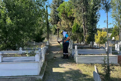 Gebze mezarlıklarında yabani ot temizliği
