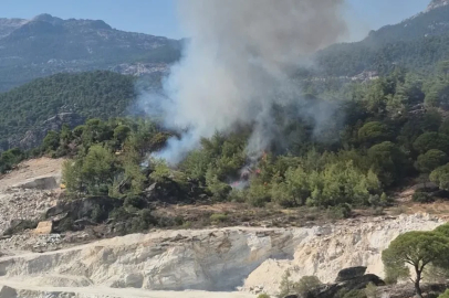Milas’ta orman yangını
